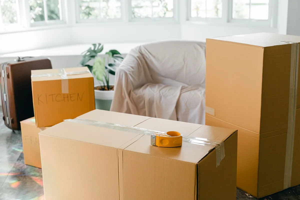 Hoarding Cleanup in Mayville, MI